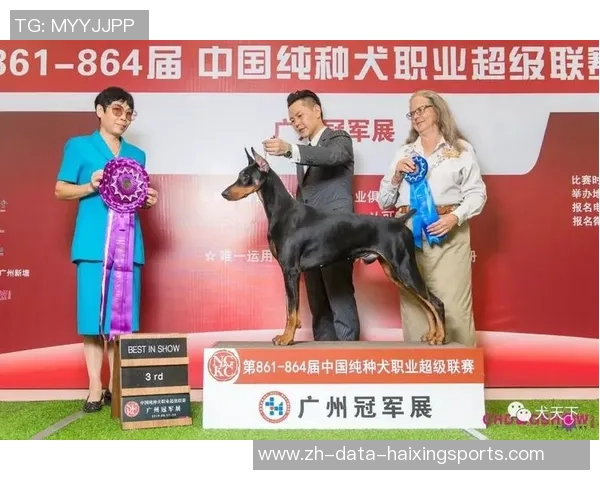 足球猎狗的追逐与荣耀揭示了运动精神与团队合作的真谛